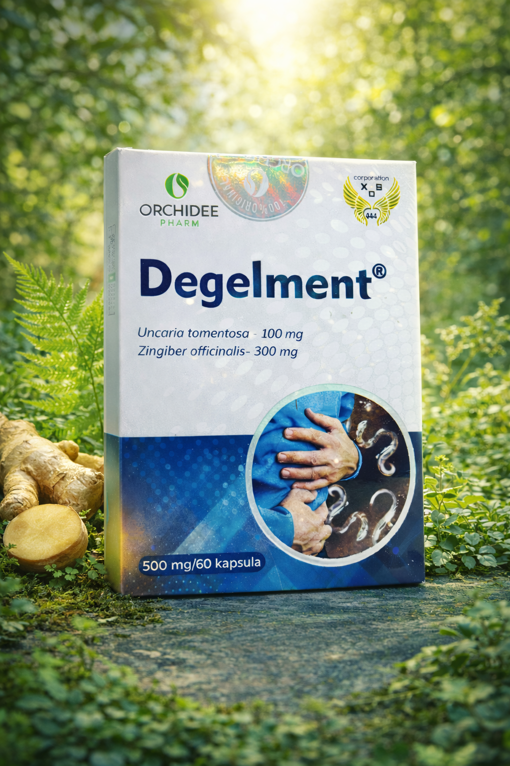 Degelment